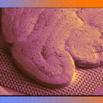 scientists-are-weaving-human-brain-cells-into-microchips