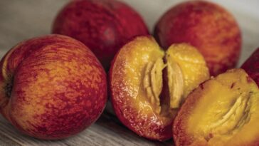 easy-recipe:-peach-caprese-salad