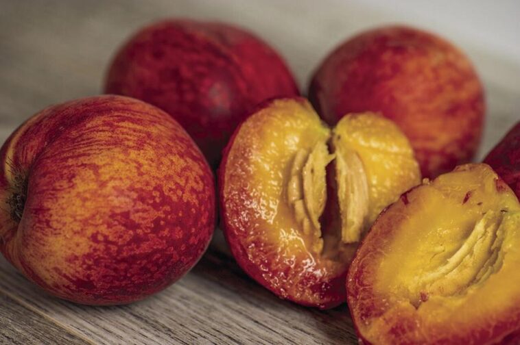 easy-recipe:-peach-caprese-salad