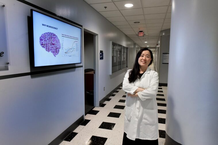 tiny-population-of-neurons-may-have-big-role-in&hellip;