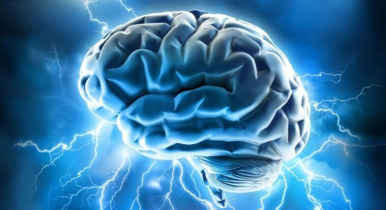 human-clinical-trials-to-begin-for-‘world-first’-brain-cancer&hellip;