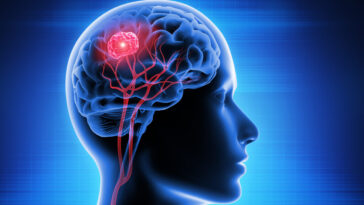 israeli-scientists-stop-brain-tumors-in-mice,-say-may…