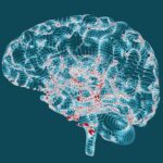 muna-raises-$73m-to-advance-neurodegenerative-disease-focused-small-molecule&hellip;