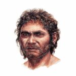 did-japanese-population-originate-with-this-minatogawa-man?