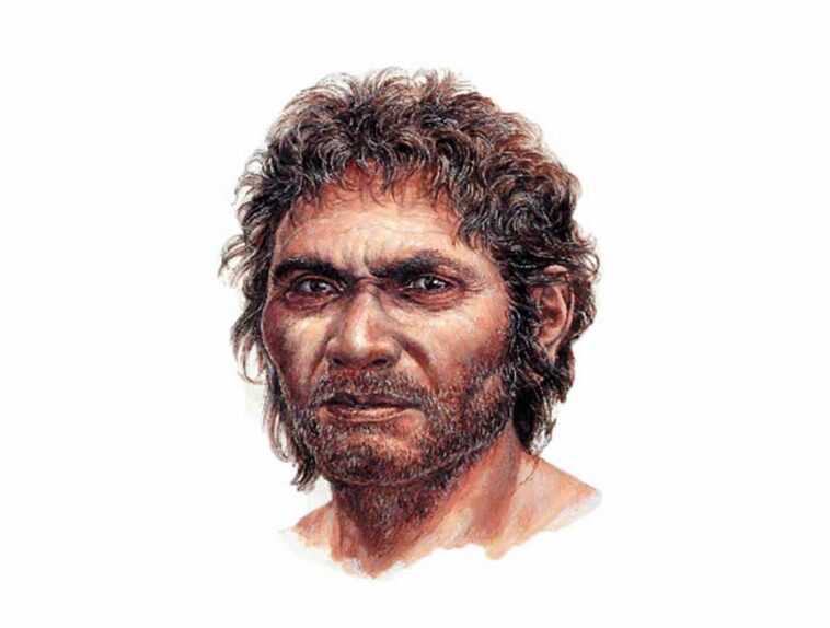 did-japanese-population-originate-with-this-minatogawa-man?