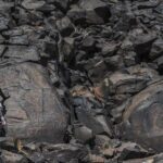stories-on-stones:-the-hidden-rock-engravings-of-abourma&hellip;