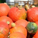 “hocus-pocus”-cookbook-is-full-of-scary-good-recipes&hellip;