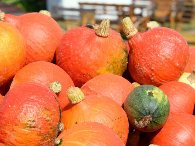 “hocus-pocus”-cookbook-is-full-of-scary-good-recipes&hellip;