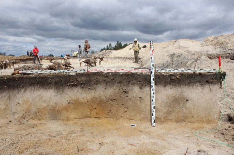 archaeologists-excavate-traces-of-10,000-year-old-mesolithic-settlements-–-heritagedaily&hellip;