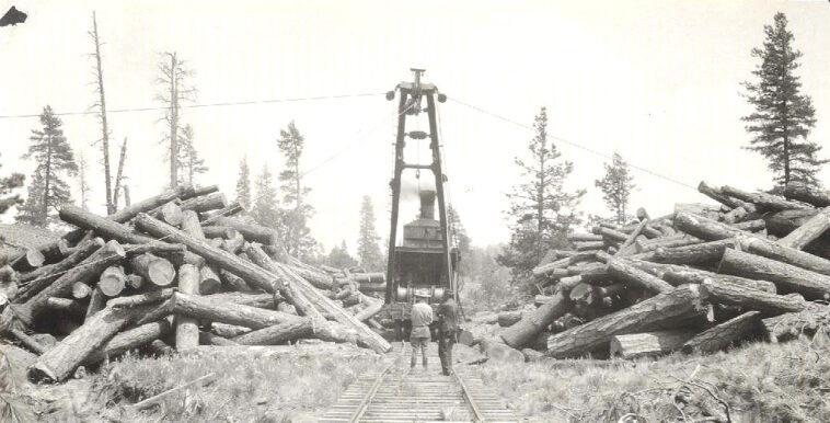 nau-and-kaibab-national-forest-partner-to-open-archaeological&hellip;