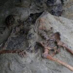 the-skeleton-of-a-roman-‘vaporized’-just-steps-from&hellip;