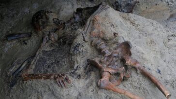 the-skeleton-of-a-roman-‘vaporized’-just-steps-from&hellip;