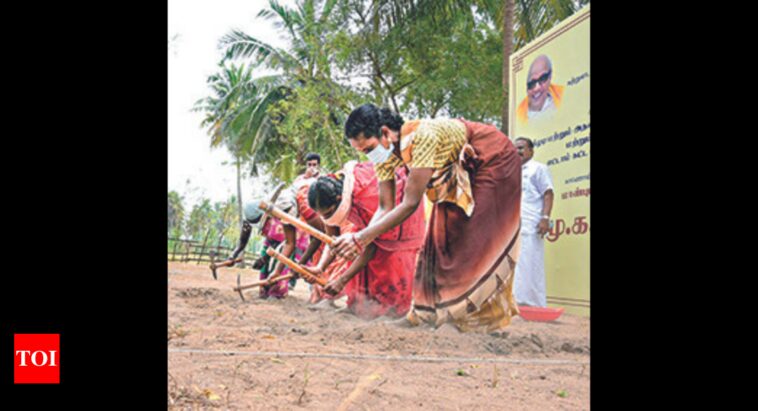 cm-launches-keeladi-phase-viii-work-|-madurai-news-&hellip;