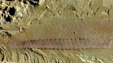 archaeology-breakthrough-as-experts-retrace-human-roots-with-518&hellip;