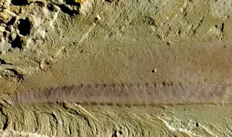 archaeology-breakthrough-as-experts-retrace-human-roots-with-518&hellip;