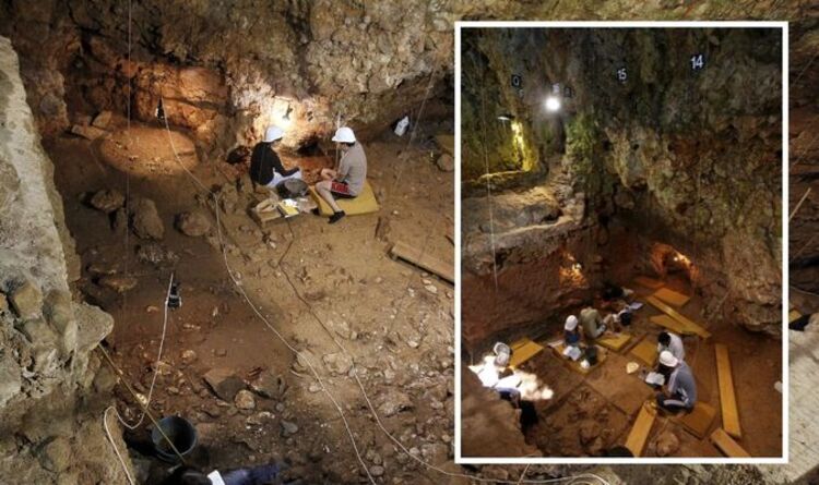 archaeology-breakthrough-as-pre-neanderthals’-‘ingenious’-spatial-planning-unearthed-|&hellip;