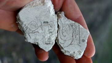 archaeologists-find-earliest-maya-calendar-in-guatemalan-pyramid-|&hellip;