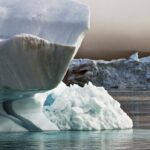 sorry,-vikings:-you-didn’t-flee-greenland-because-of-little…