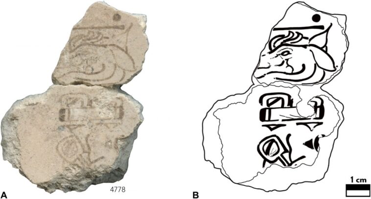 fragments-from-oldest-known-maya-calendar-identified-in-the-las&hellip;