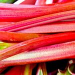 how-to-preserve-rhubarb-|-food-&-country-recipes&hellip;