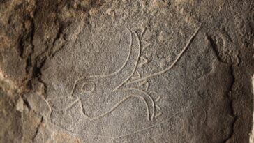 learn-about-the-secrets-of-galloway’s-caves