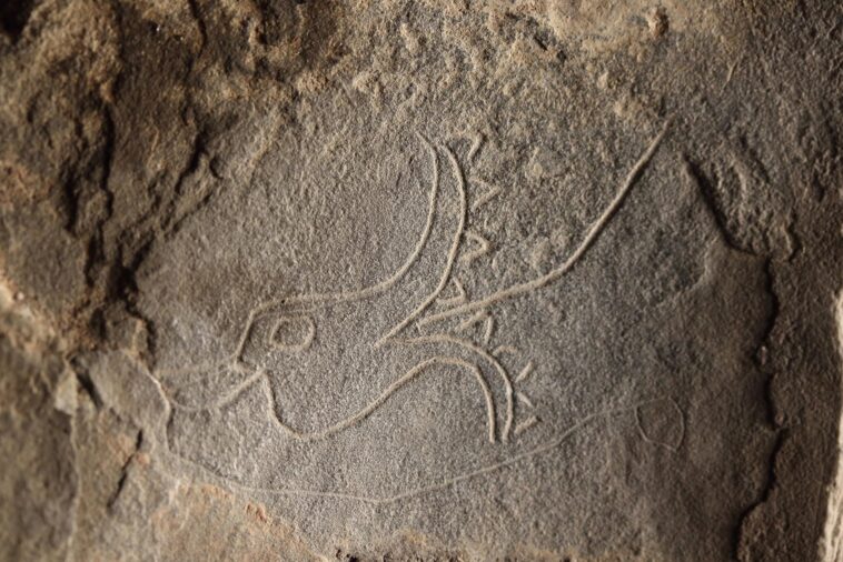 learn-about-the-secrets-of-galloway’s-caves