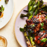 a-moment-of-brightness-–-the-new-york-times