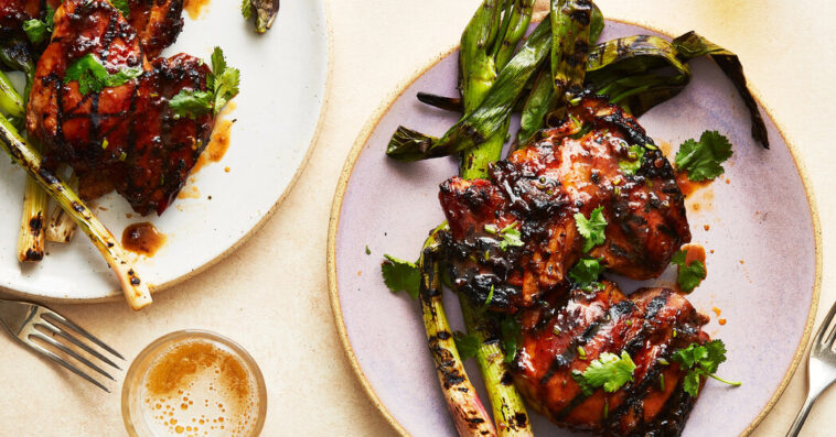 a-moment-of-brightness-–-the-new-york-times