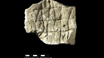 games-at-gath:-board-games-give-relatable-insight-into&hellip;