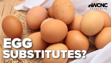 4-egg-alternatives-for-your-recipes-–-charlotte-&hellip;