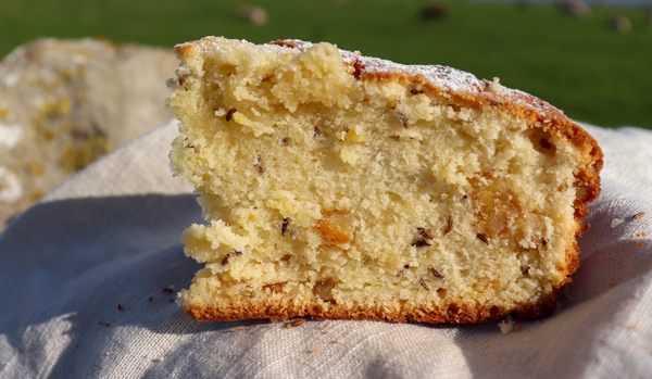 gastro-obscura’s-favorite-recipes-of-2023